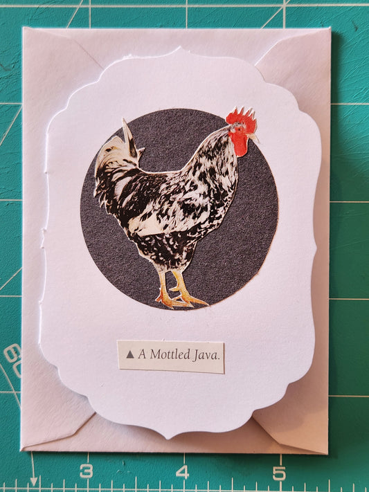 Chicken Mini Card Series - Mottled Java