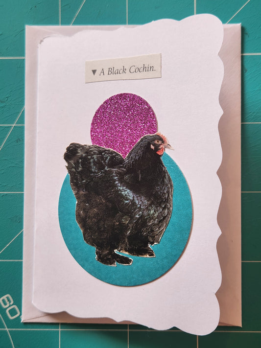 Chicken Mini Card Series - Black Cochin