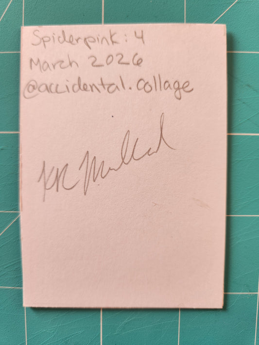 Back of card reads: Spiderpink 4, March 2026, @accidental.collage, with a signature