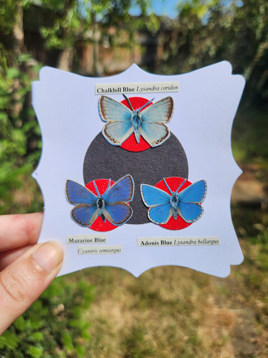 A hand holds a white decorative card featuring a collage of three labeled butterflies on a dark circle backing with red circular accents, photographed outdoors against blurred green foliage.