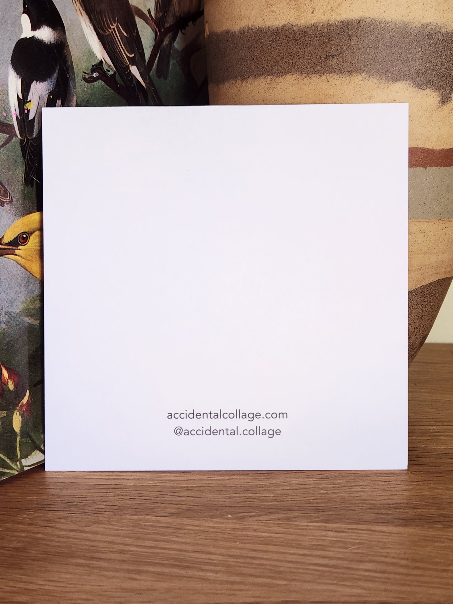 Blank white back of a square postcard with small text at the bottom reading: accidentalcollage.com, @accidental.collage