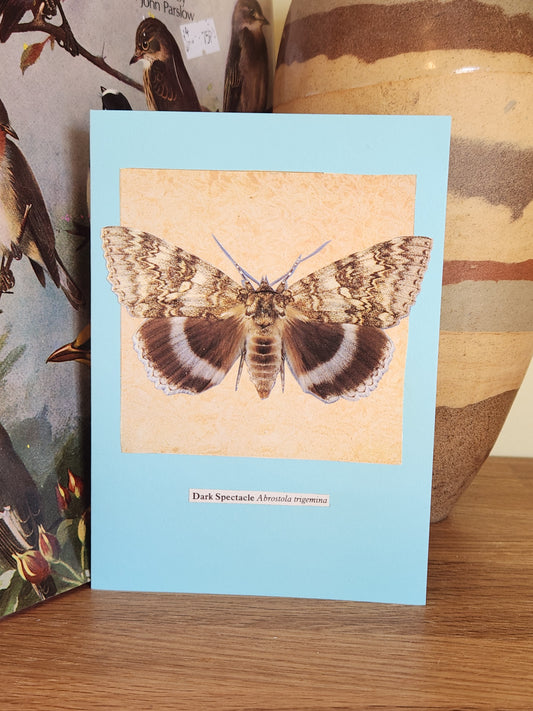 A light blue greeting card featuring a collage of a large moth on a patterned background, placed on top ofa wooden surface with a ceramic vase visible in the background.