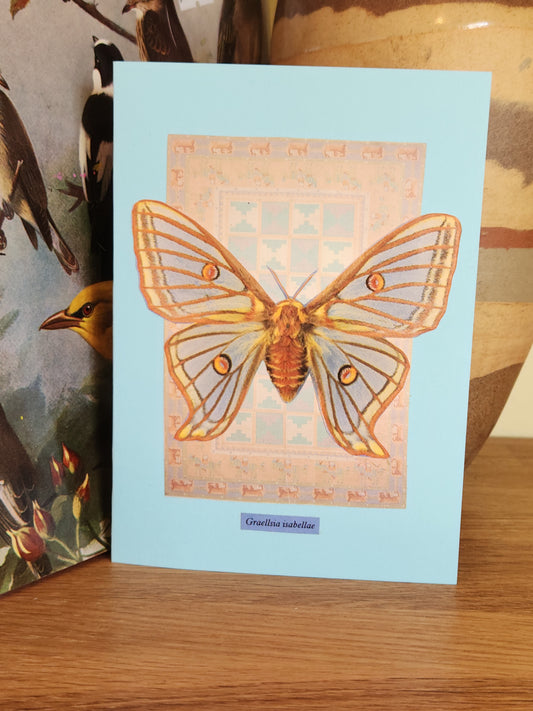 A light blue greeting card featuring an collage of a large orange and blue moth on a patterned beige background, standing on a wooden surface.