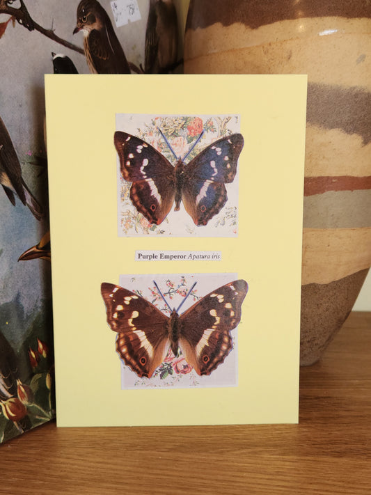 A pale yellow greeting card featuring a collage of two butterfies labeled 'Purple Emperor'. The card is standing on a wooden surface with a decorative ceramic vase in the background.
