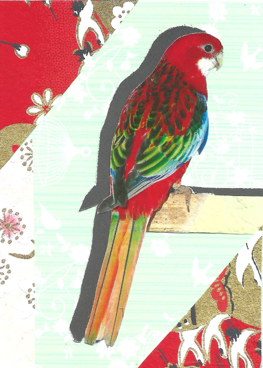 A stylized collage artwork of a red, green, and blue parrot perched on a branch, set against patterned paper sections in red, pale mint, white, and gold.