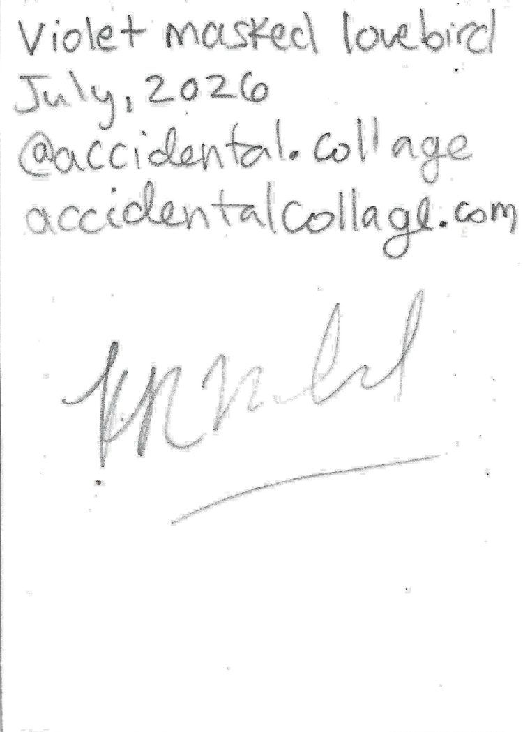 Back of card with a handwritten note dated July, 2026, reading 'Violet masked lovebird @accidental.collage, accidentalcollage.com' and a signature underneath