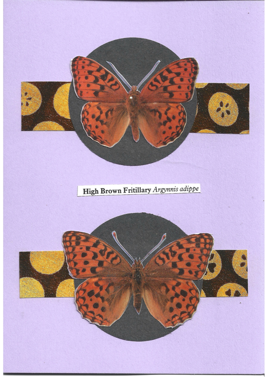 Pale purple greeting card with the image of a  male and female High Brown Fritillary butterfly on black circles and patterned stripes