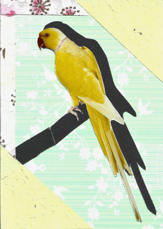 A collage featuring a yellow bird perched on a dark branch, layered over patterned paper sections with pale green floral lines, cream diagonal shapes, and small pink floral accents.