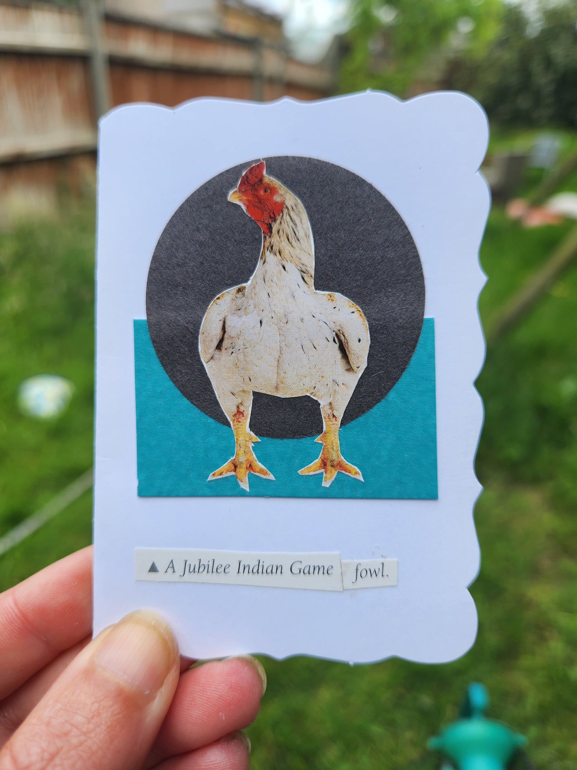 A hand holding a decorative white card featuring a collage of a chicken inside a dark circe on a teal background, with the text 'A Jubilee Indian Game fowl' on a small vertical label. The background is an outdoor garden setting with green foliage and a wooden fence.