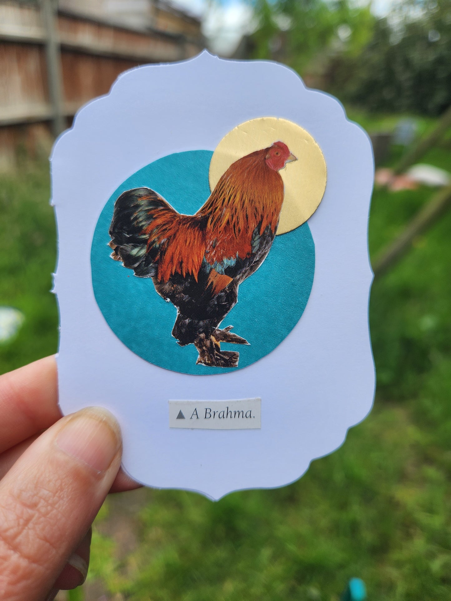 A hand holding a small white greeting card with a collage of a rooster on turquoise and a gold circle against a blurred natural background.