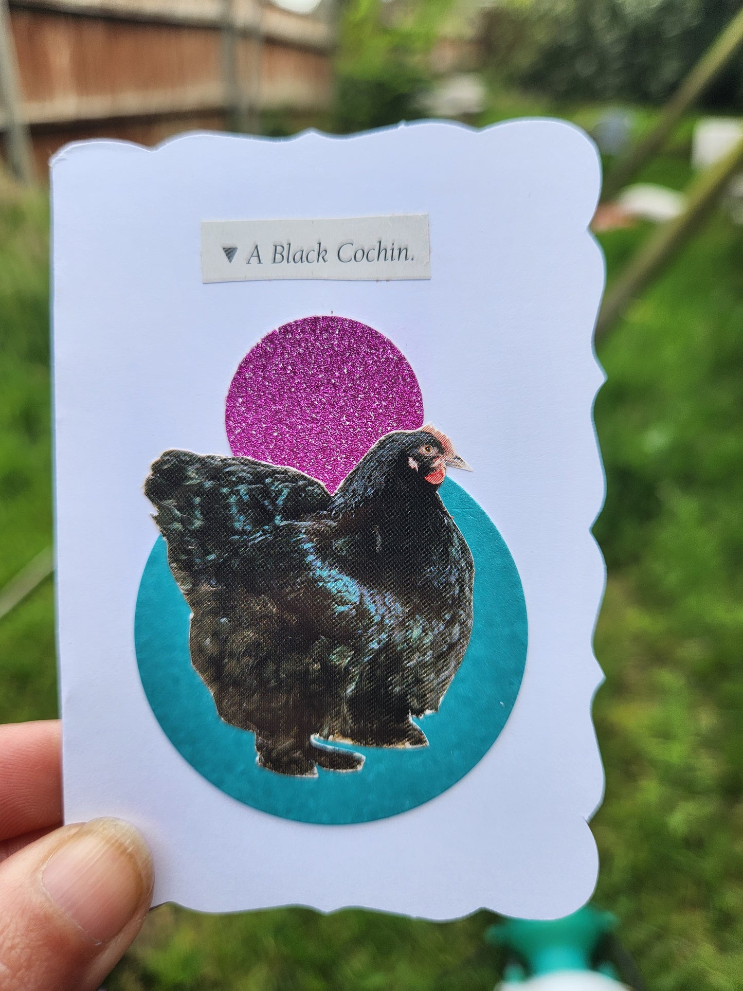 A hand holding a white card featuring a black chicken illustration over a teal and pink glitter circle, with the text 'A Black Cohin.' against a blurred green outdoor background.