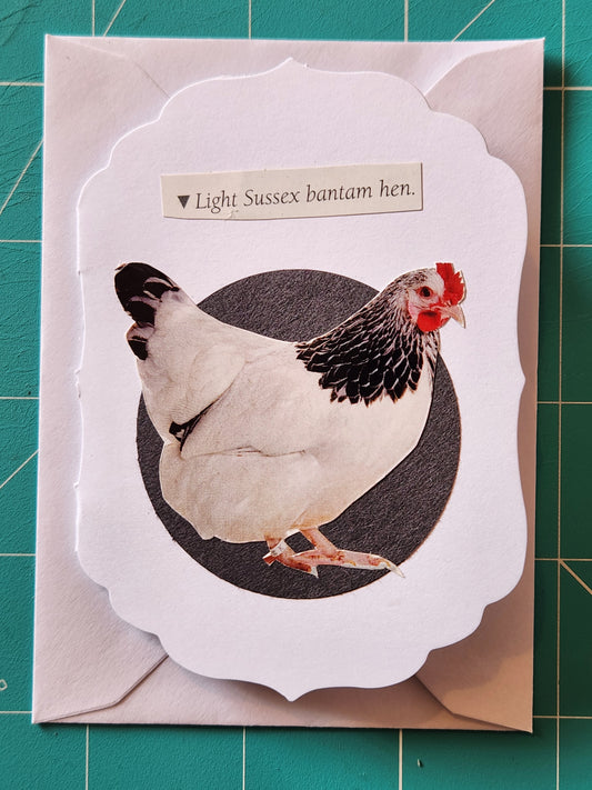 Chicken Mini Card Series - Light Sussex bantam hen