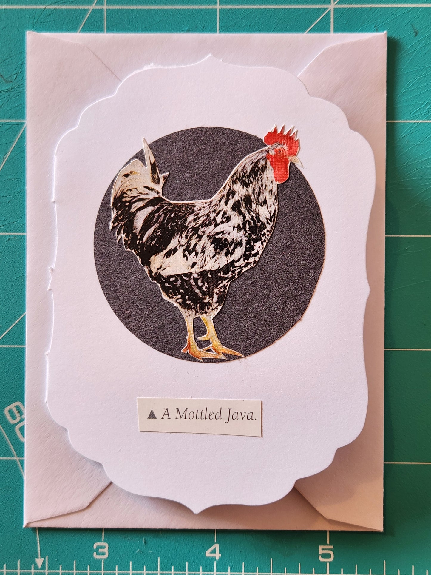 Chicken Mini Card Series - Mottled Java
