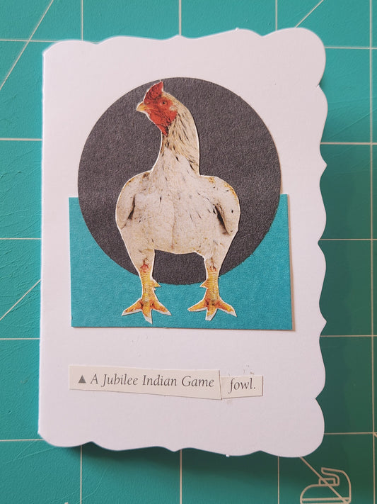 Chicken Mini Card Series - Jubilee Indian Game fowl
