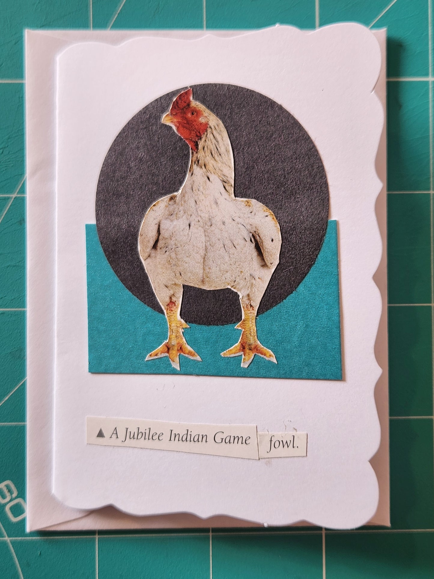 Chicken Mini Card Series - Jubilee Indian Game fowl