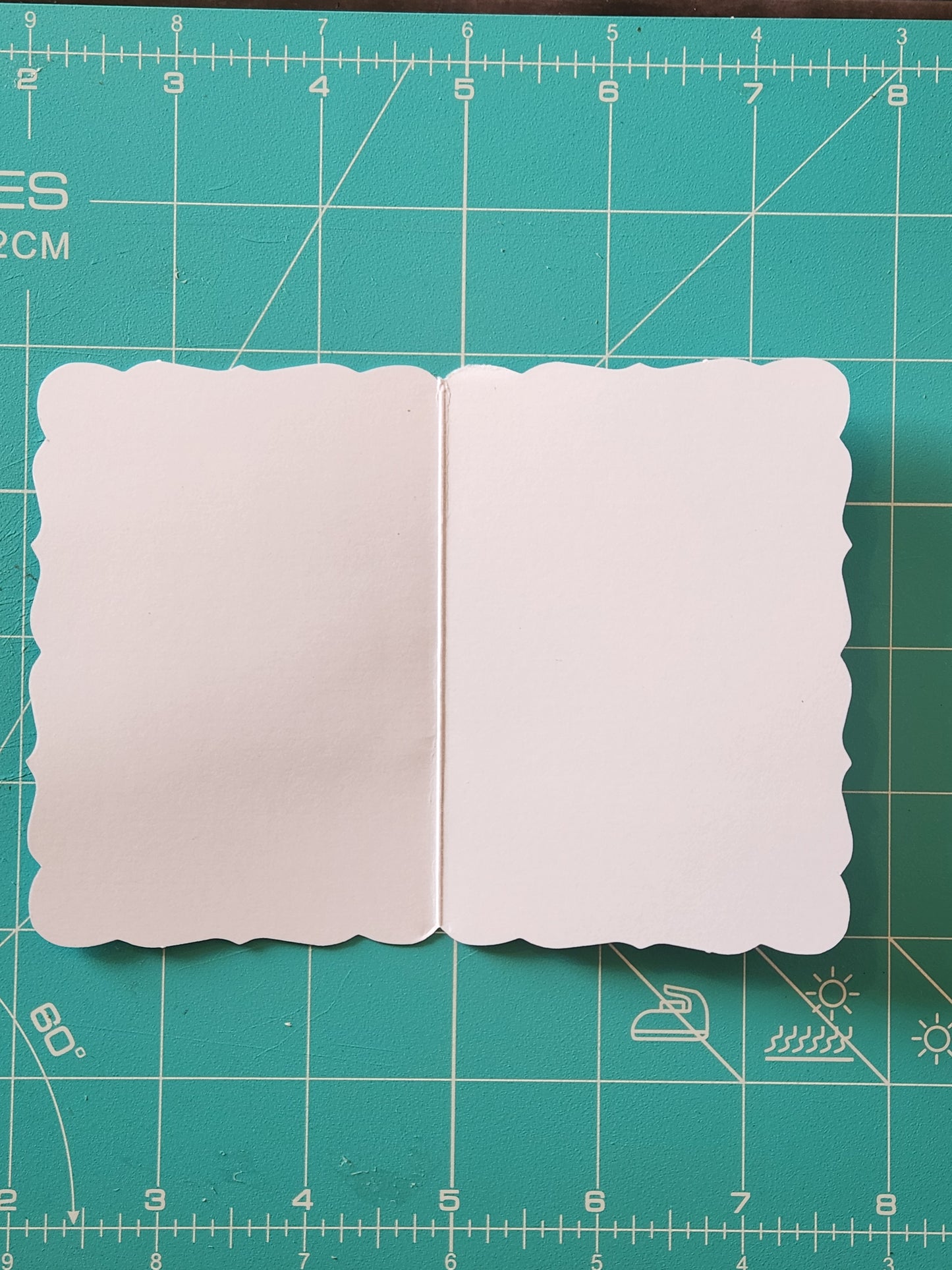 Chicken Mini Card Series - Jersey Giant