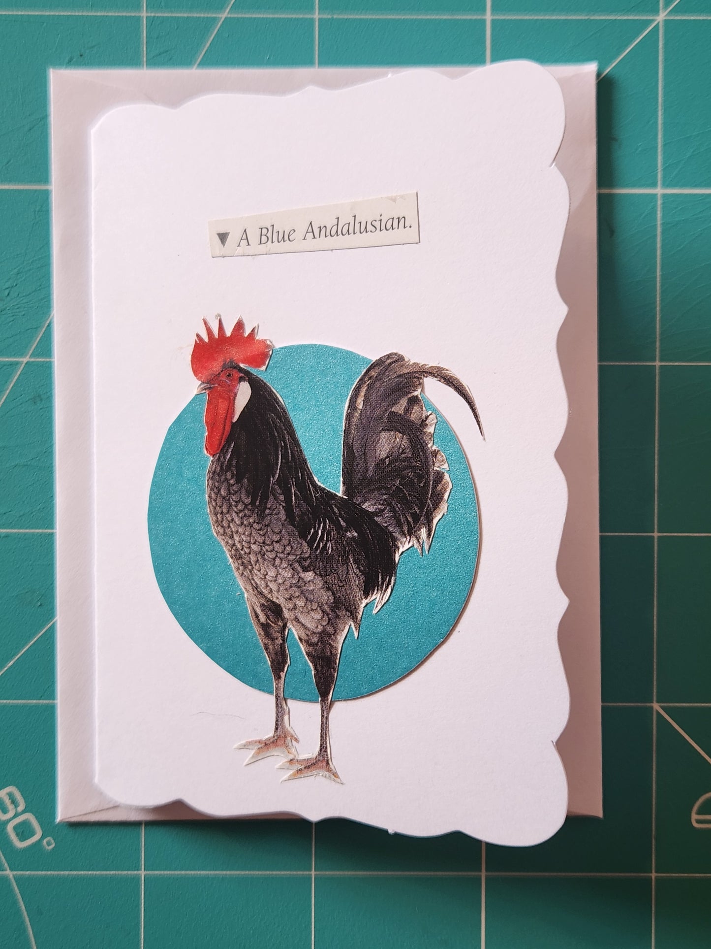 Chicken Mini Card Series - Blue Andalusian