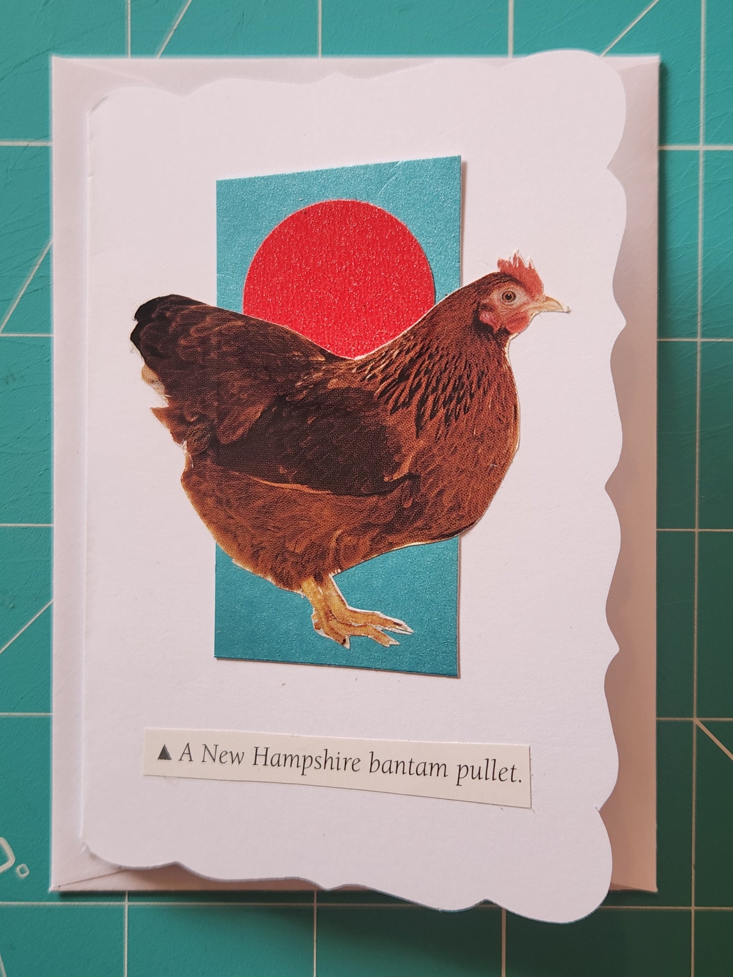 Chicken Mini Card Series - New Hampshire bantam pullet