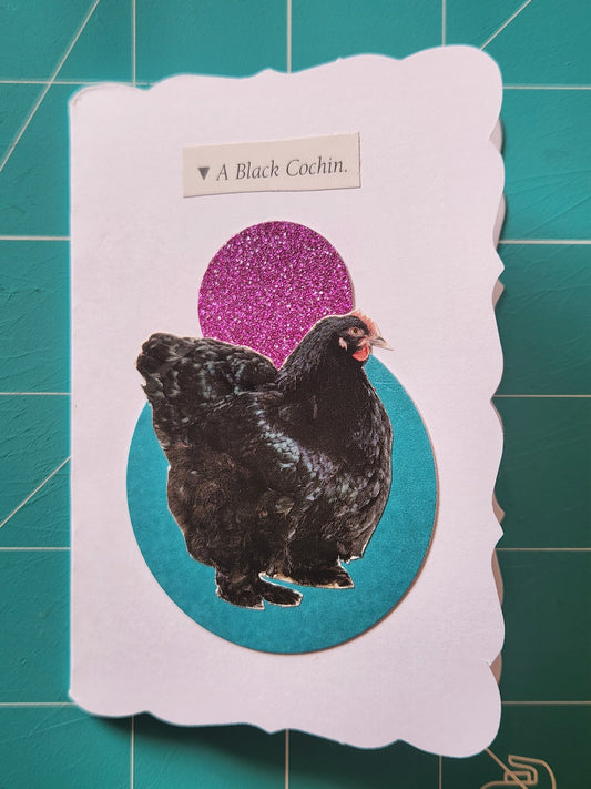 Chicken Mini Card Series - Black Cochin