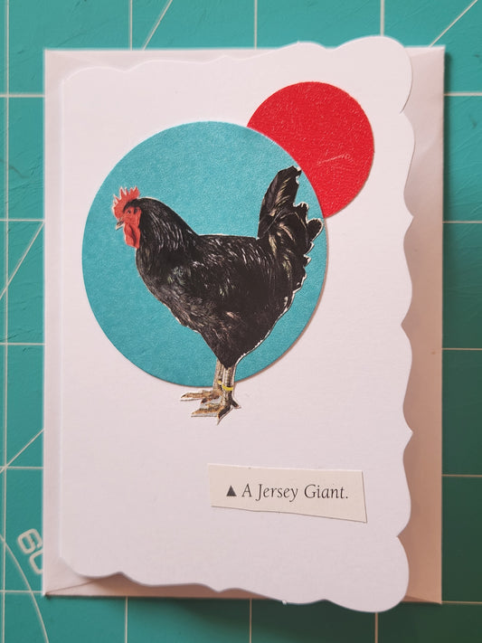 Chicken Mini Card Series - Jersey Giant