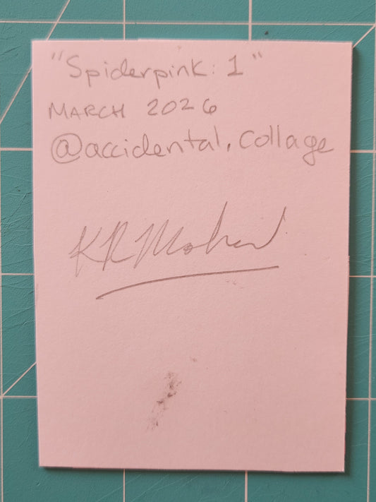 Back of the card reads: "Spidepink 1", March 2026, @accidental.collage with a signature.
