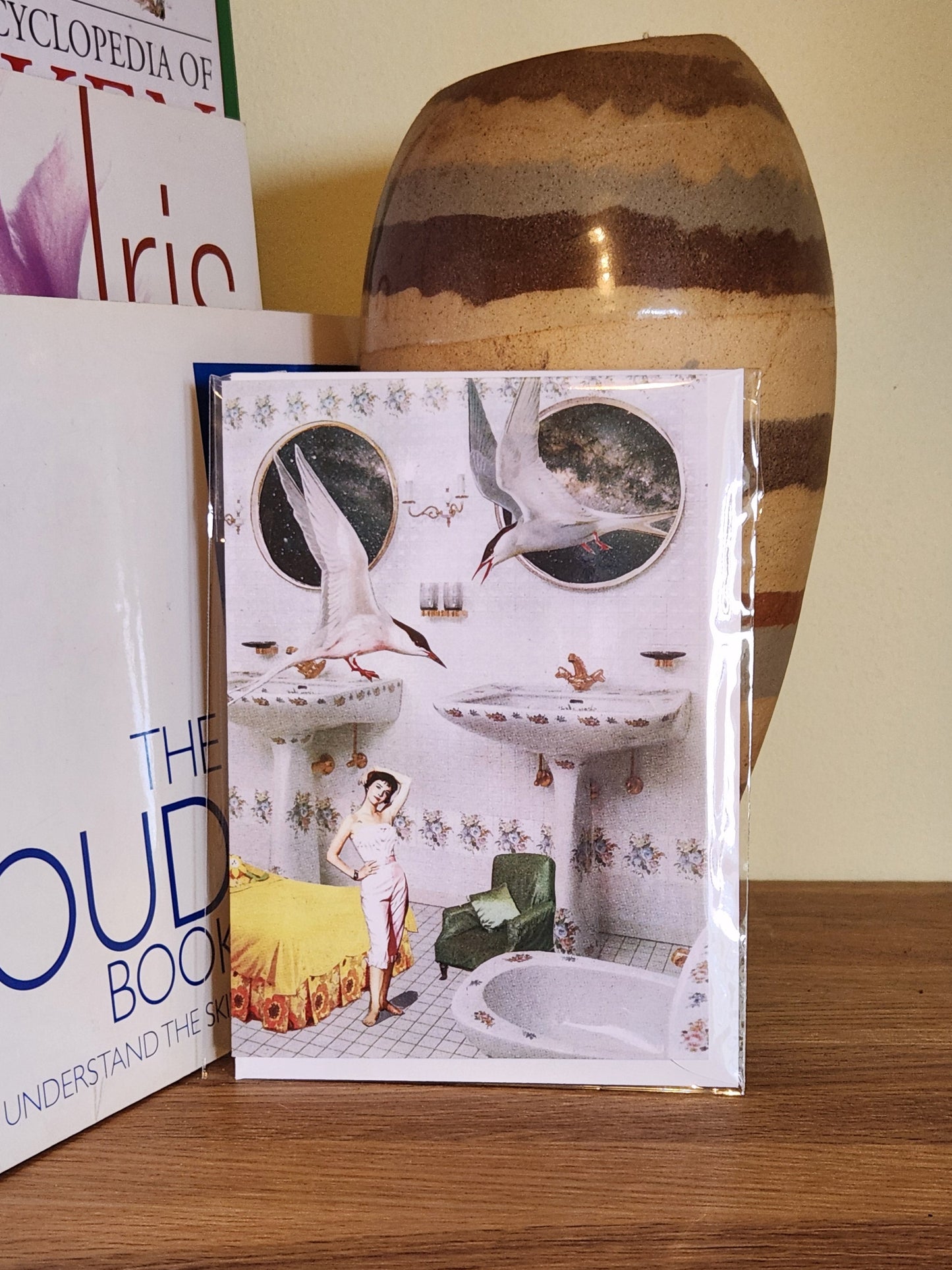 A greeting card featuring a collage print of terns, Natalie Wood and bedroom furniture in a white bathroom, placed on a wooden shelf next to books and a striped ceramic vase, sealed in a clear plastic sleeve.