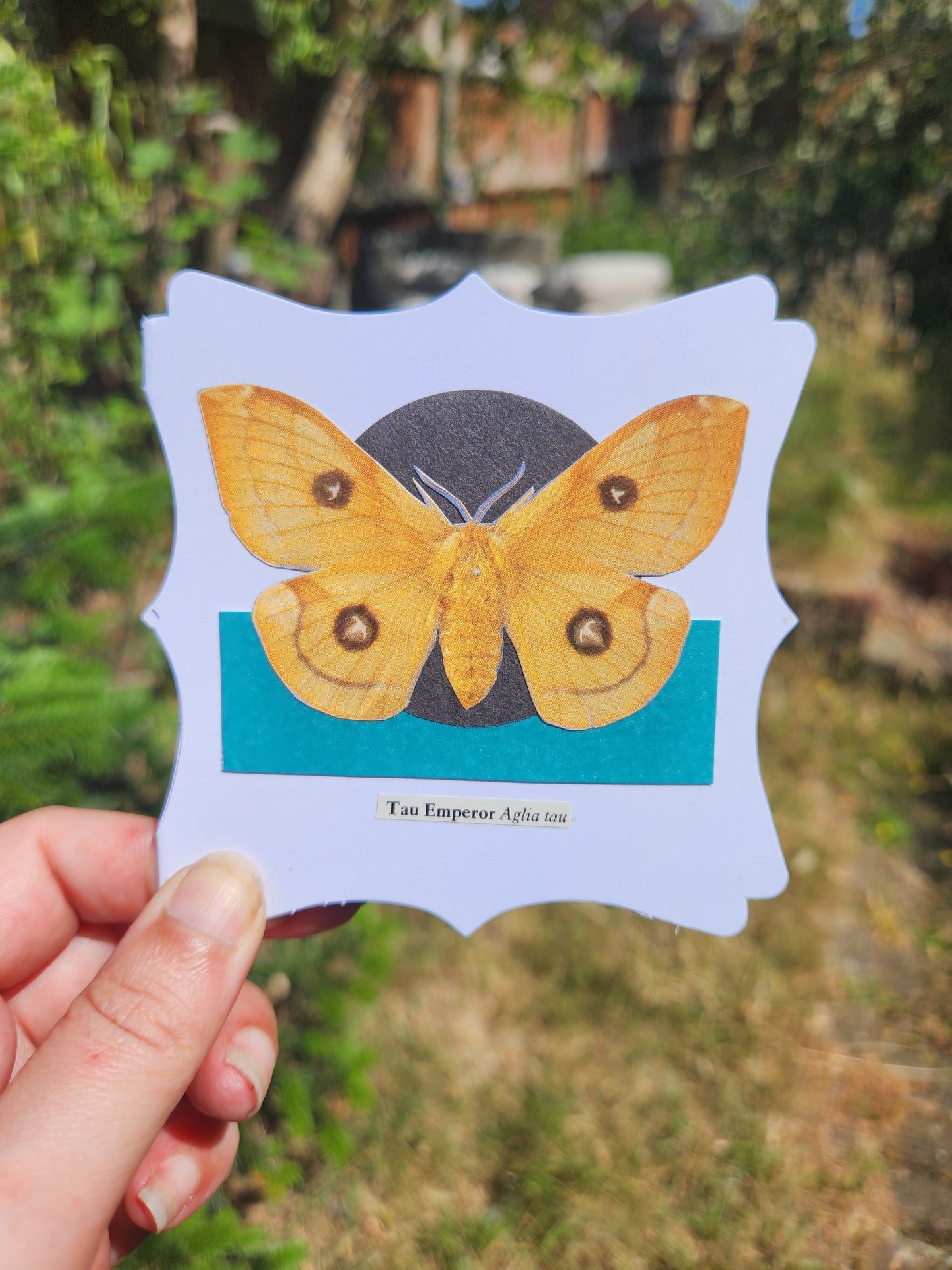 A hand holding a small white card with decorative edges featuring a collage of Tau Emperor moth over a black circle and teal rectable, against a blurred background of greenery
