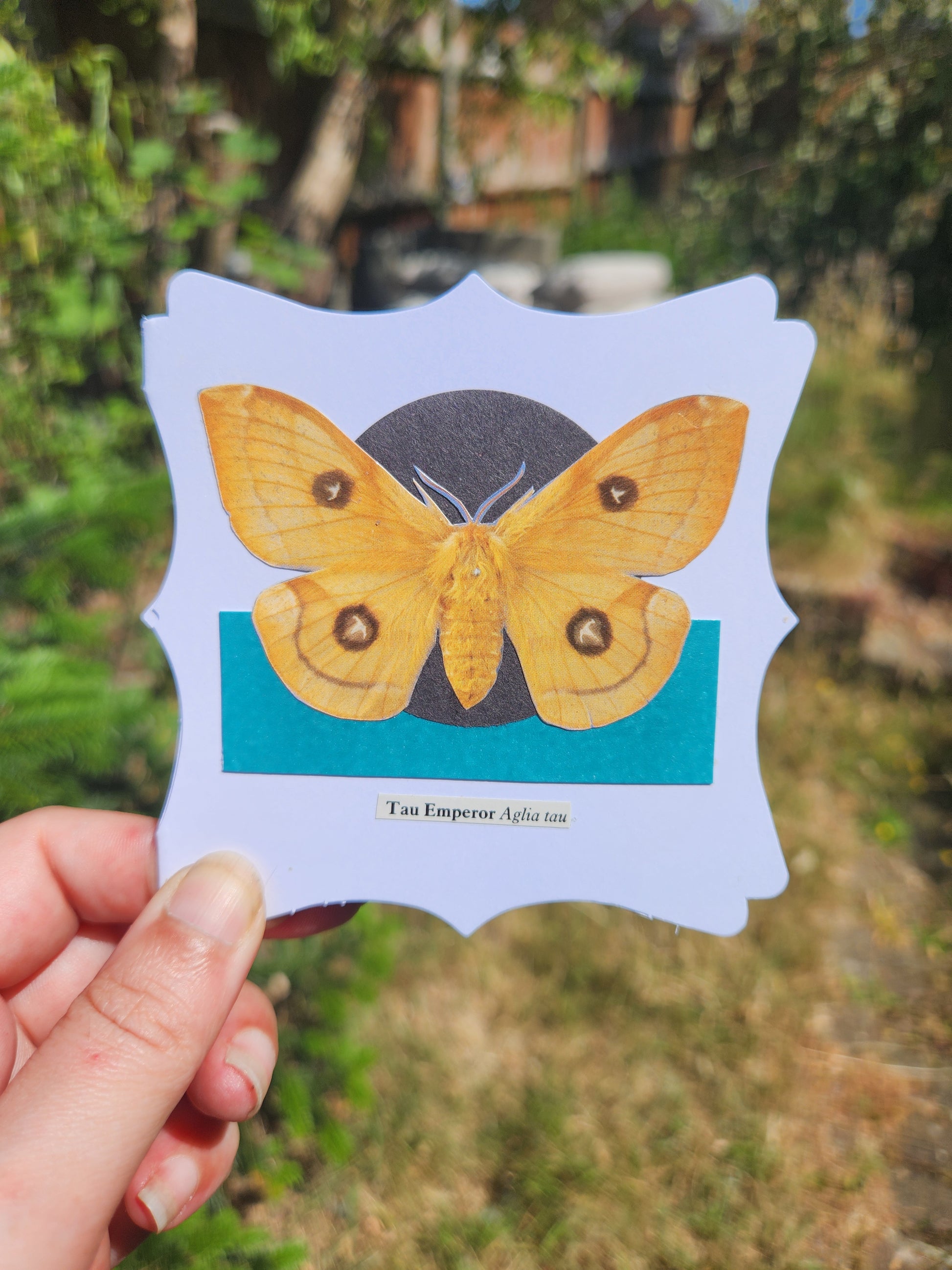 A hand holding a small white card with decorative edges featuring a collage of Tau Emperor moth over a black circle and teal rectable, against a blurred background of greenery
