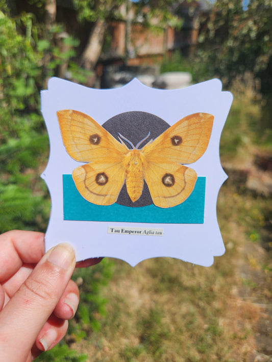 A hand holding a small white card with decorative edges featuring a collage of Tau Emperor moth over a black circle and teal rectable, against a blurred background of greenery
