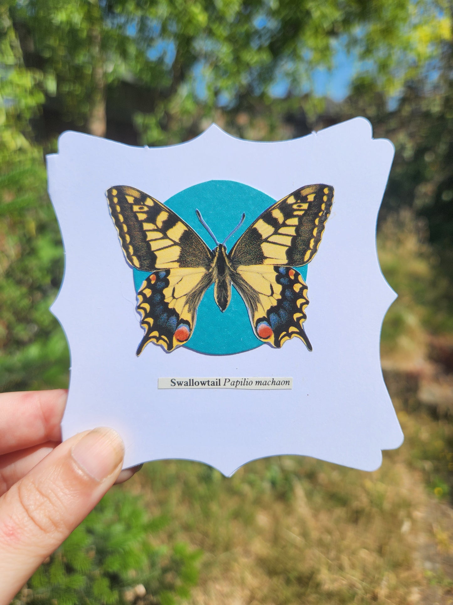 A hand holding a small white card with decorative edges featuring a collage of Swallowtail butterfly over a teal and red circle motif, against a blurred backgroud of greenery
