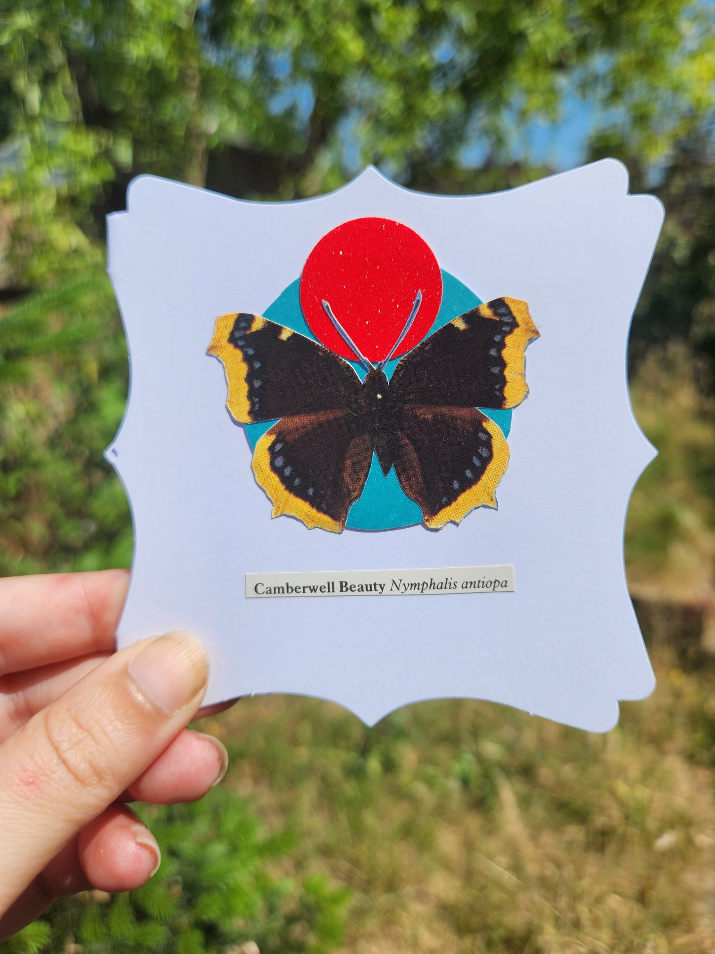 A hand holding a small white card with decorative edges featuring a collage of Camberwell Beauty butterfly over a teal and red circle motif, against a blurred backroud of greenery