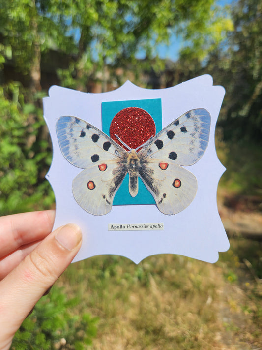 A hand holds a white scalloped card featuring a collage of a butterfly over a turquoise square and a red glitter circle, with the text 'Apollo Pernassius apollo' below, set against a blurred outdoor background of green foliage.