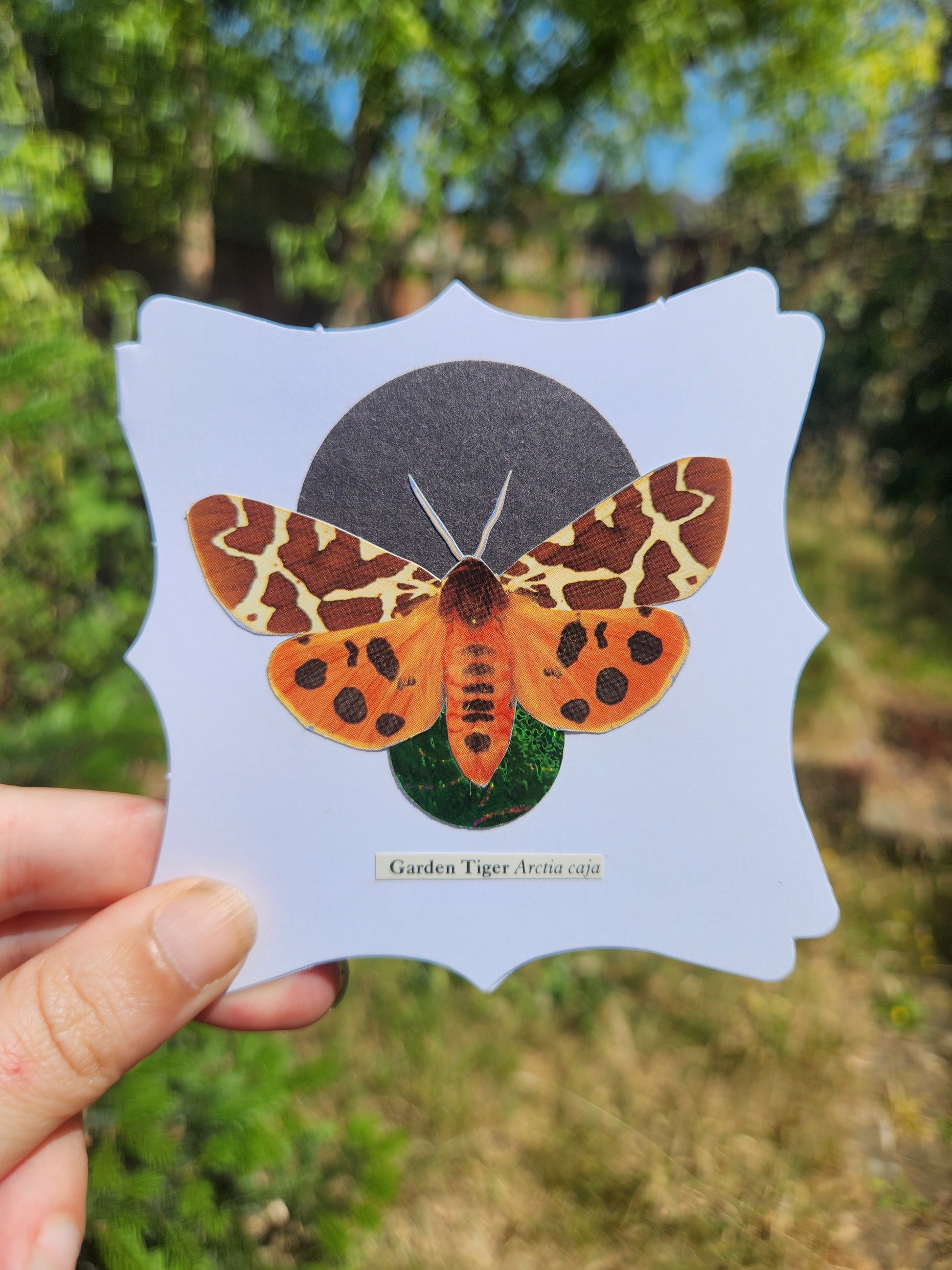 A hand holding a small white card with decorative edges featuring a collage of Garden Tiger moth over a black and metallic green circle motif, against a blurred backroud of greenery
