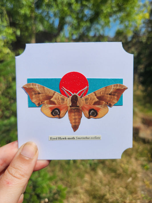 A hand holding a small white card with decorative edges featuring a collage of an Eyed Hawk-moth over a teal and red geometric motif, against a blurred background of greenery
