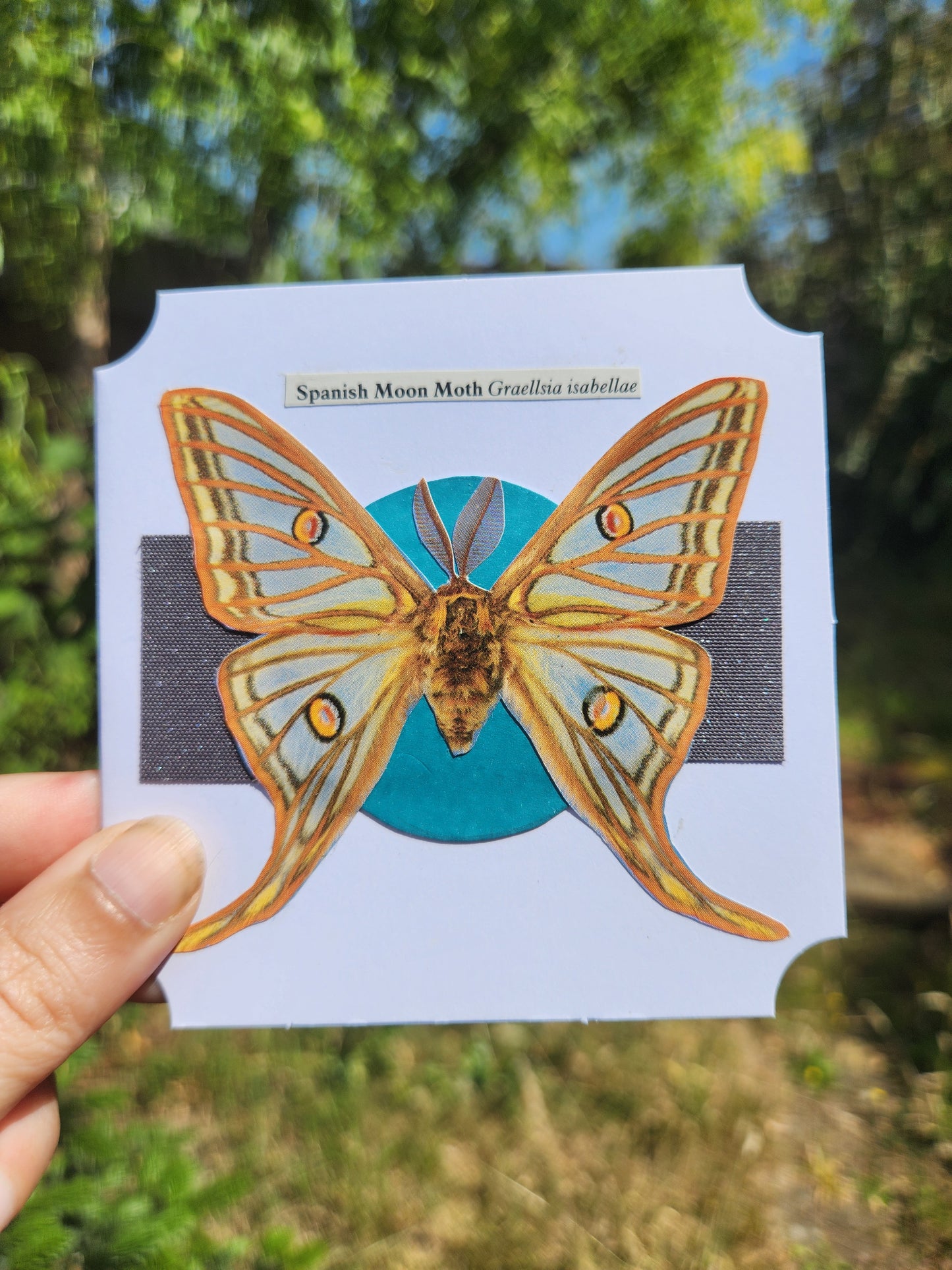 A hand holds a square white card featuring a collage of a Spanish Moon Moth (Graellsia ibellula) with golden-brown wings and a turquoise circular background, set against a blurred outdoor green background.
