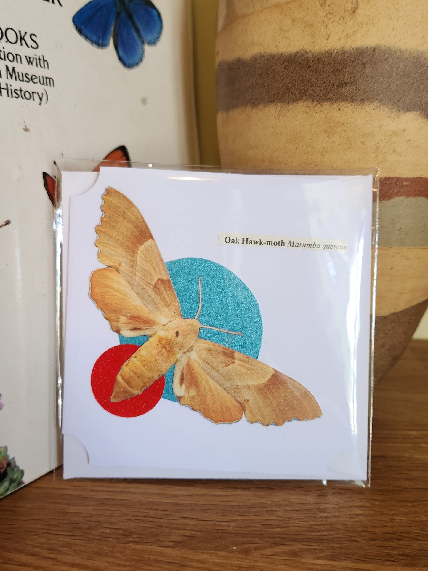 A decorative white greeting card featuring an Oak Hawk-moth over a turquoise and a red circle, sealed in clear plastic packaging with matching envelope. The card is placed on a wooden shelf in front of a striped ceramic vase.
