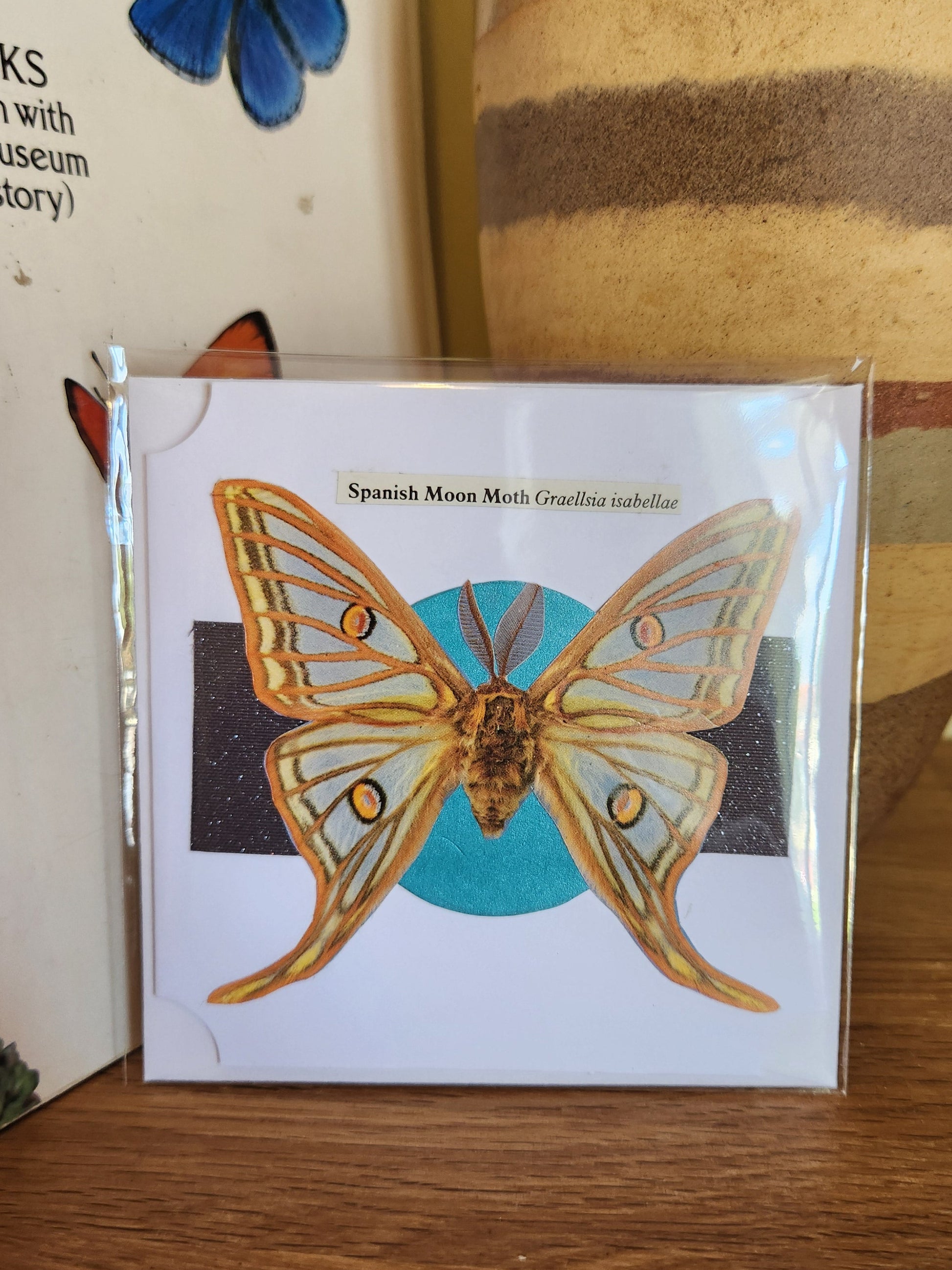 A decorative white greeting card featuring a Spanish Moon moth over a turquoise and circle and black strip, sealed in clear plastic packaging with matching envelope. The card is placed on a wooden shelf in front of a striped ceramic vase.
