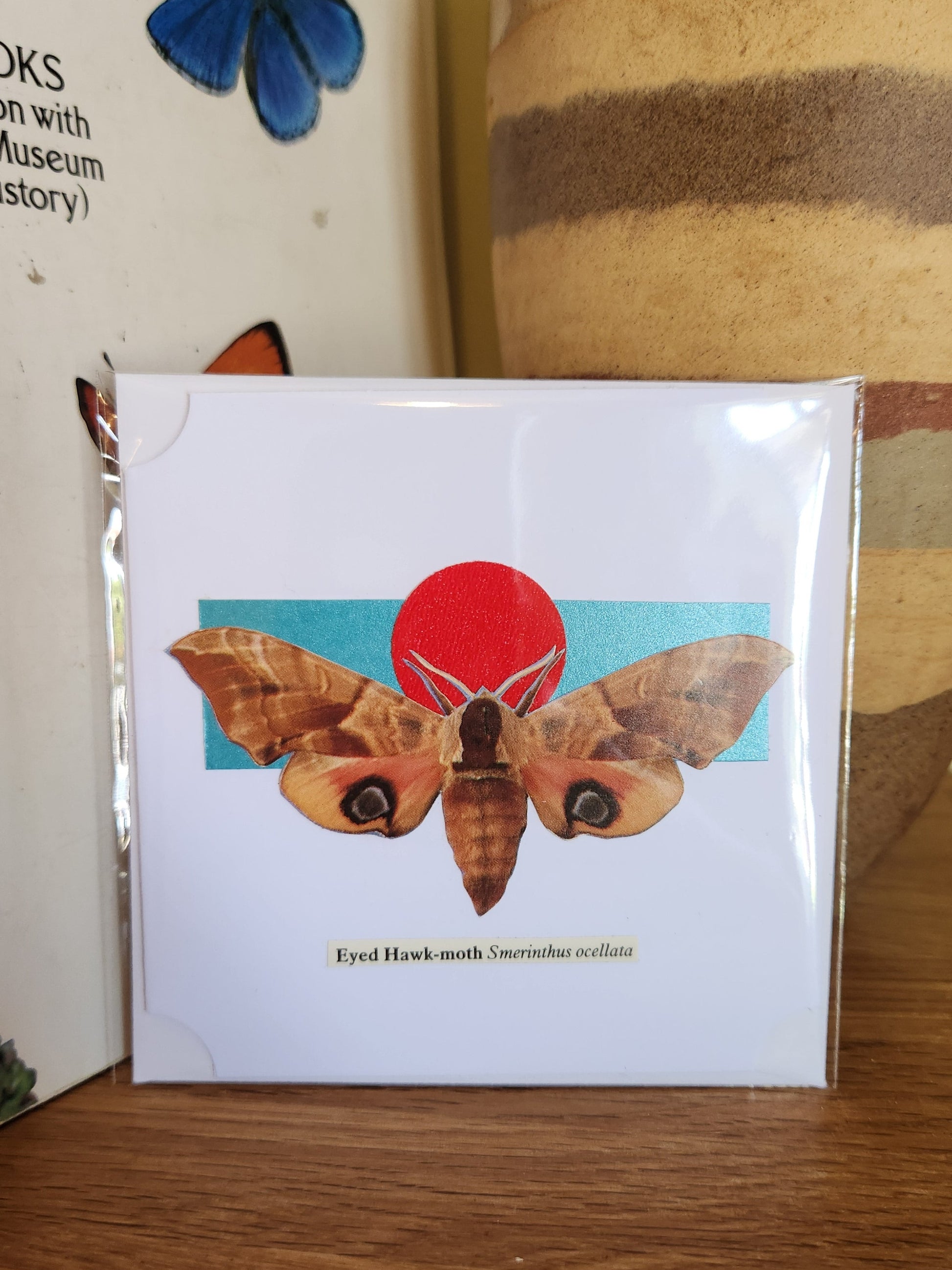 A decorative white greeting card featuring a Eyed Hawk-moth over a turquoise and red geometric motif, sealed in clear plastic packaging with matching envelope. The card is placed on a wooden shelf in front of a striped ceramic vase.
