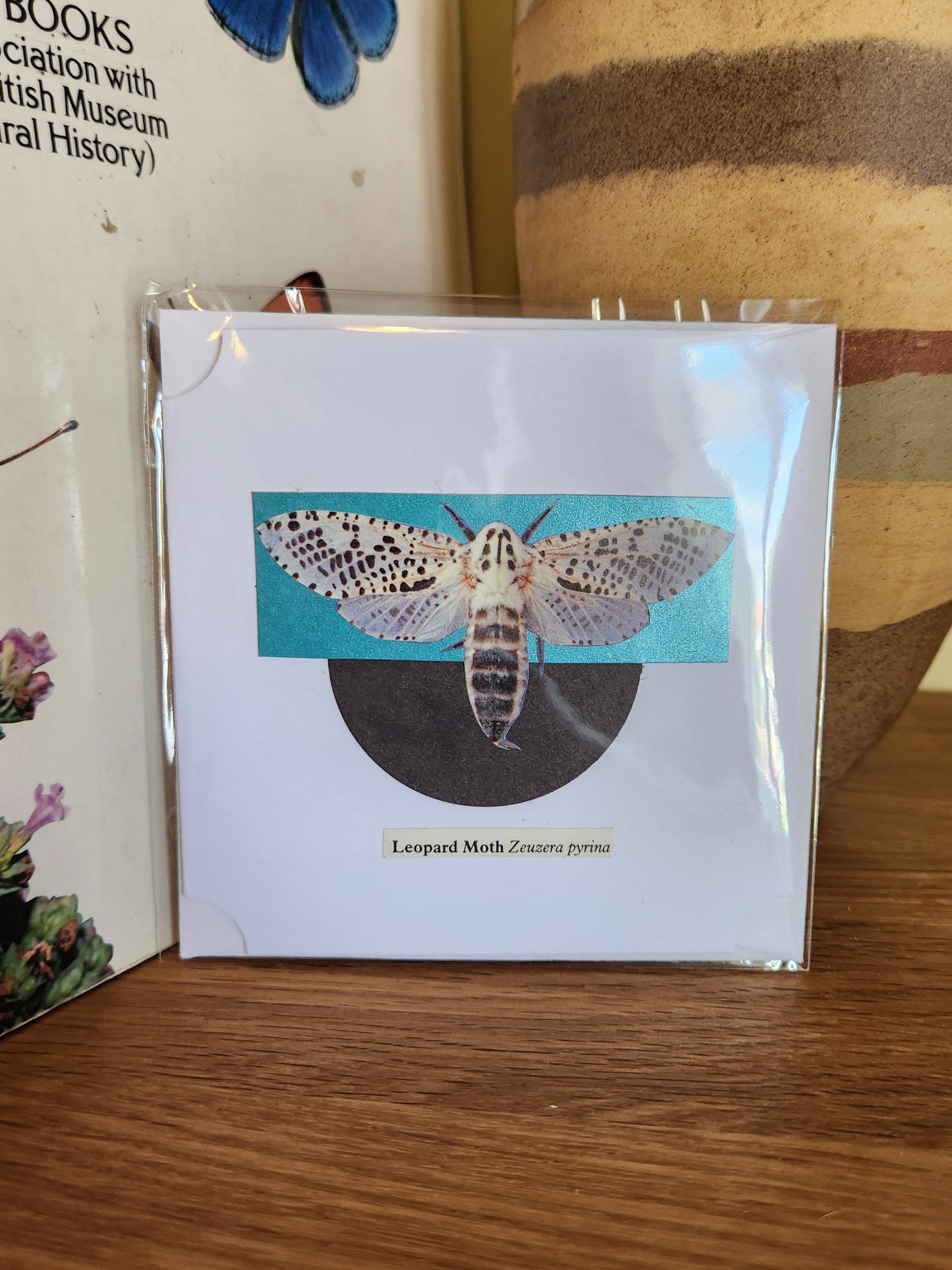 A decorative white greeting card featuring a Leopard moth over a turquoise and black geometric motif, sealed in clear plastic packaging with matching envelope. The card is placed on a wooden shelf in front of a striped ceramic vase.
