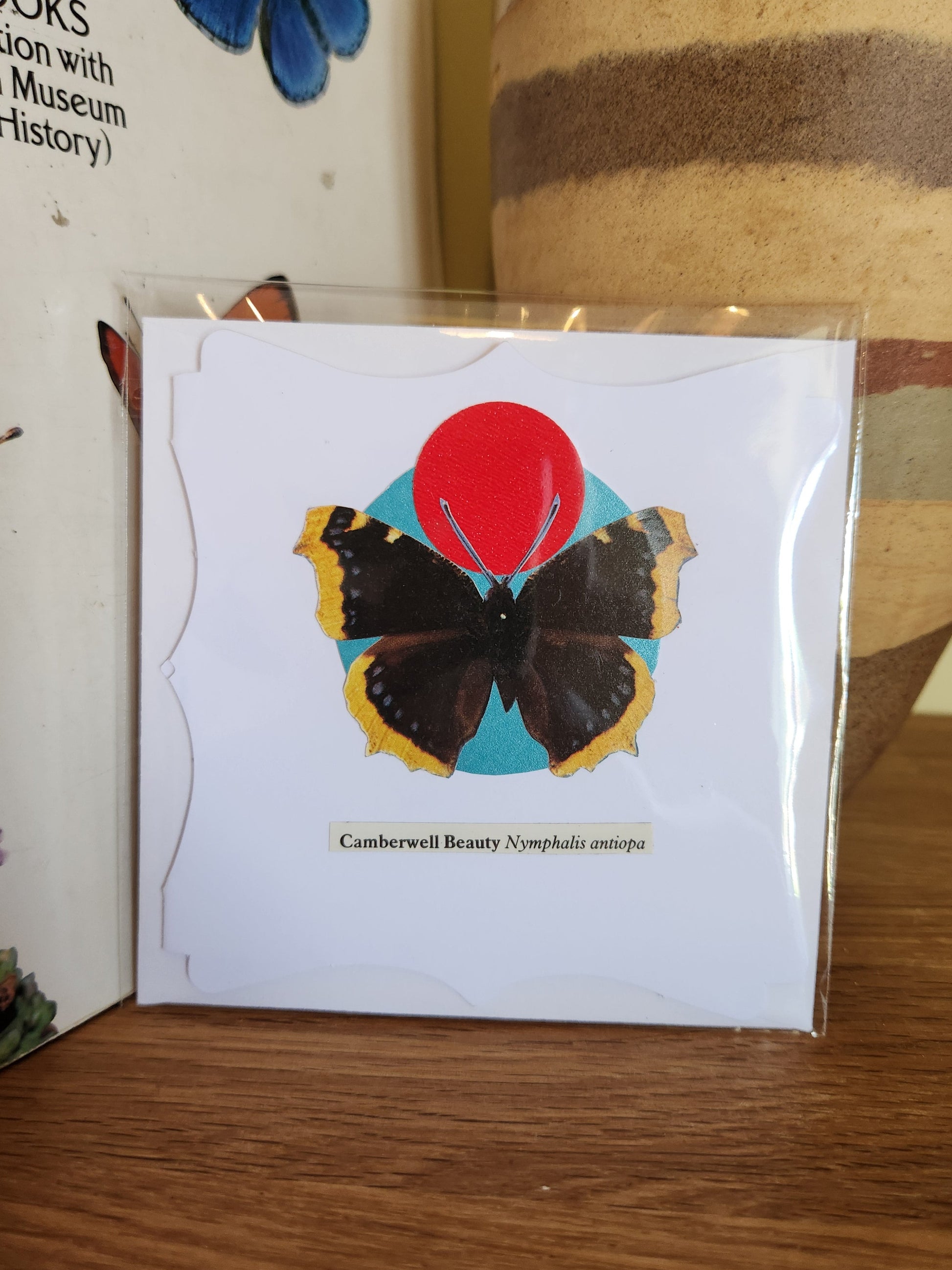 A decorative white greeting card featuring a Camberwell Beauty butterfly over a turquoise and a red circle, sealed in clear plastic packaging with matching envelope. The card is placed on a wooden shelf in front of a striped ceramic vase.
