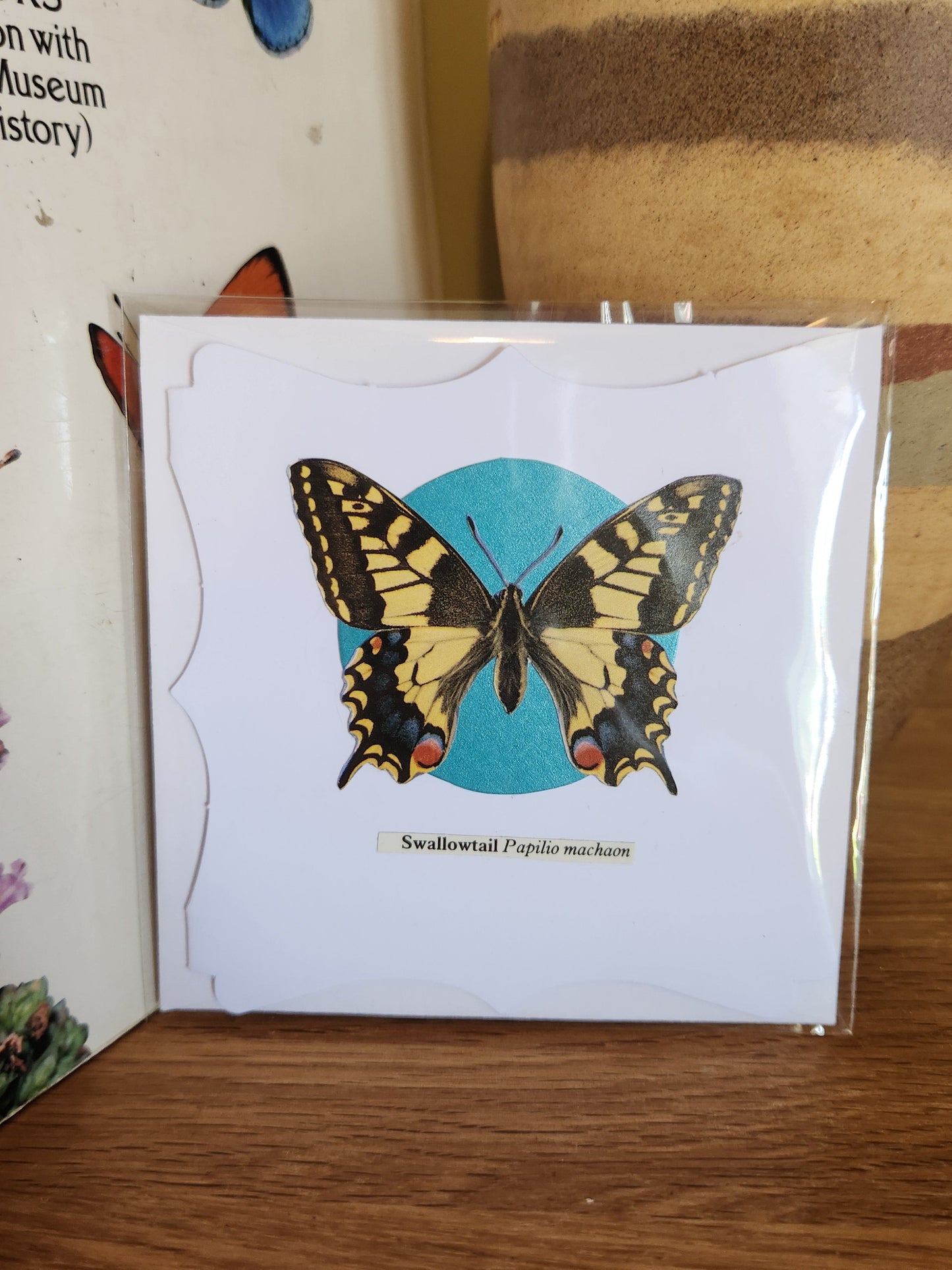 A decorative white greeting card featuring a Swallowtail butterfly over a turquoise circle, sealed in clear plastic packaging with matching envelope. The card is placed on a wooden shelf in front of a striped ceramic vase.
