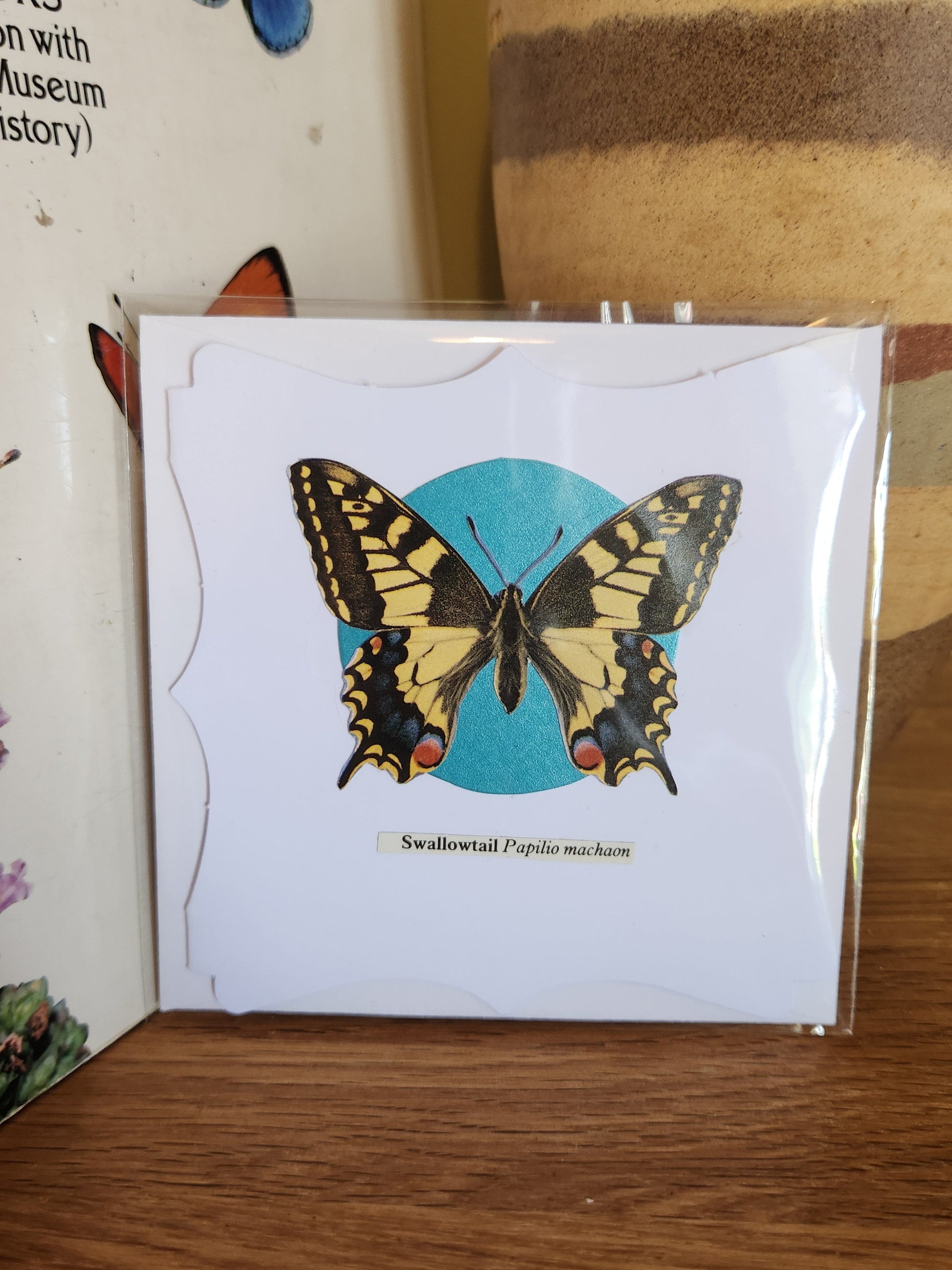 A decorative white greeting card featuring a Swallowtail butterfly over a turquoise circle, sealed in clear plastic packaging with matching envelope. The card is placed on a wooden shelf in front of a striped ceramic vase.
