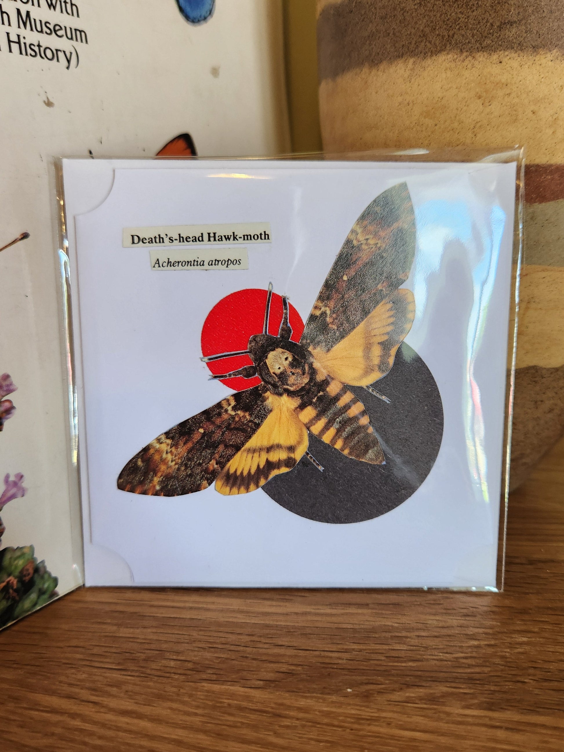A decorative white greeting card featuring a Death's Head Hawk-moth over a black and a red circle, sealed in clear plastic packaging with matching envelope. The card is placed on a wooden shelf in front of a striped ceramic vase.
