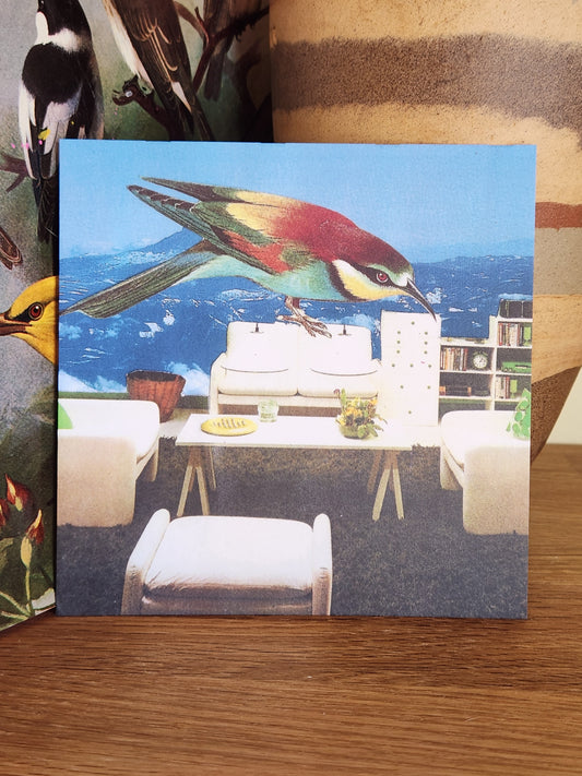 A square postcard featuring a colorful bird perched on a modern white sofa against a blue background, photographed on a wooden surface with a striped ceramic vase behind it