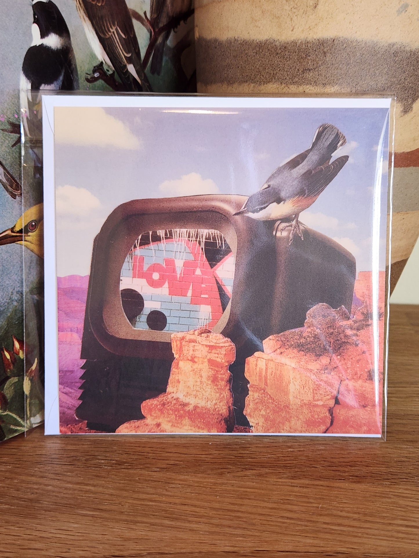 A square postcard featuring a surreal scene with a bird perched on a television set, set against orange rock formations and a blue sky, sealed in clear plastic packaging with matching envelope. The card is placed on a wooden shelf in front of a striped ceramic vase.