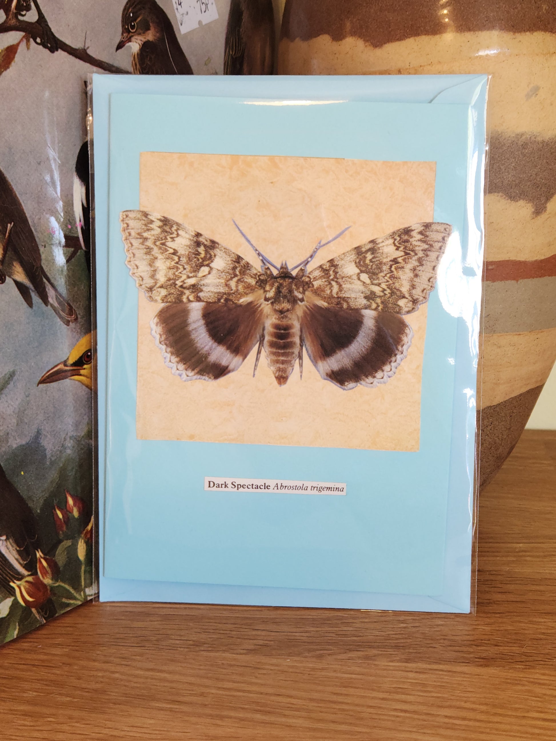 A light blue greeting card featuring a collage of a dark moth with brown, black, and white patterned wings on a beige background, with the label 'Dark Spectacle' below. The item is packaged in a plastic sleeve with a matching envelope and standing on a wooden surface with a ceramic vase partially visible in the background.