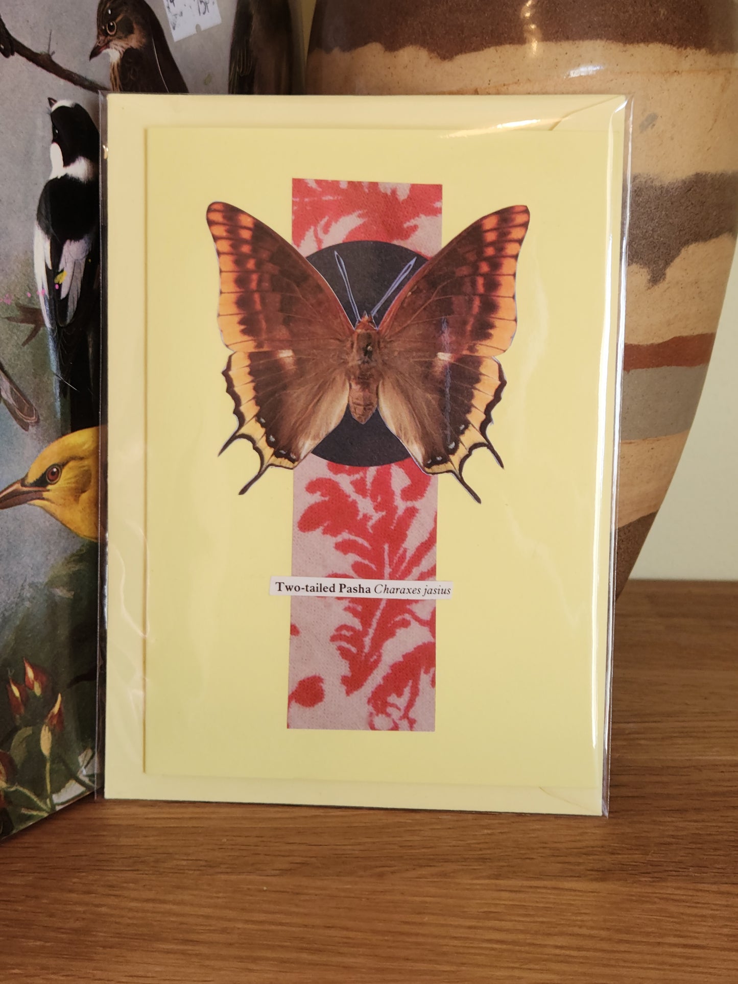 A pale yellow greeting card featuring a collage of a butterfly over red coral-like shapes, packaged in a plastic sleeve with a matching envelope, and displayed on a wooden surface.