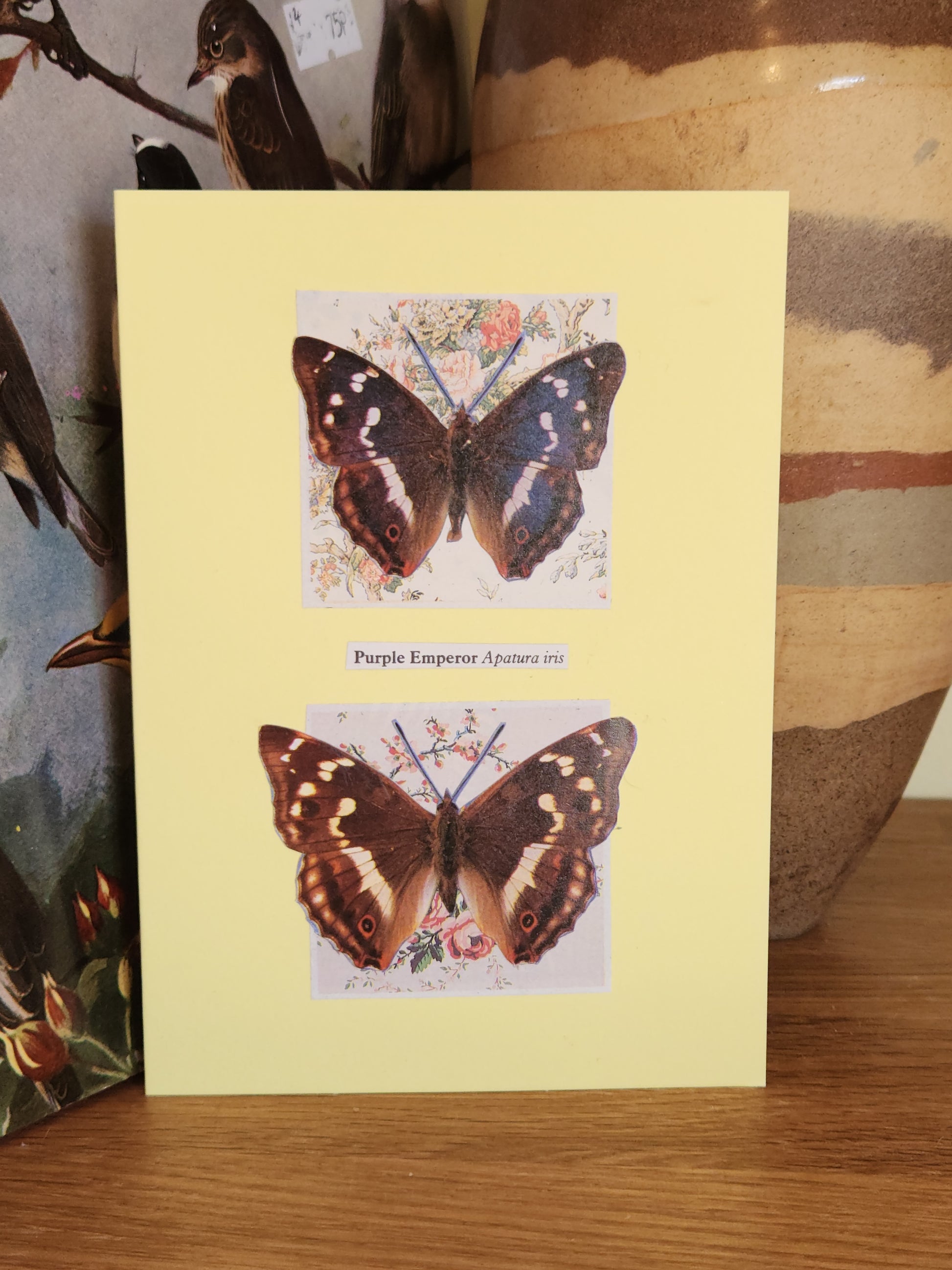 A pale yellow greeting card featuring a collage of two butterfies labeled 'Purple Emperor'. The card is standing on a wooden surface with a decorative ceramic vase in the background.
