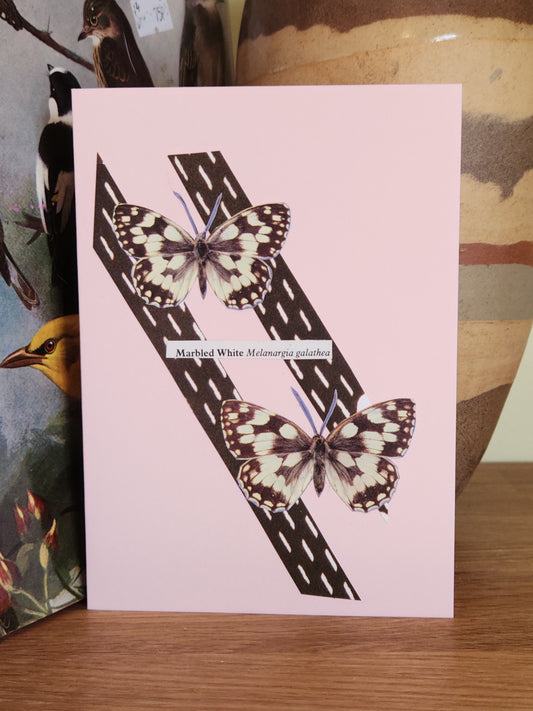 A pale pink greeting card featuring a collage of two butterflies on diagonal black-and-white stripes, photographed standing on a wooden surface with a vase in the background.