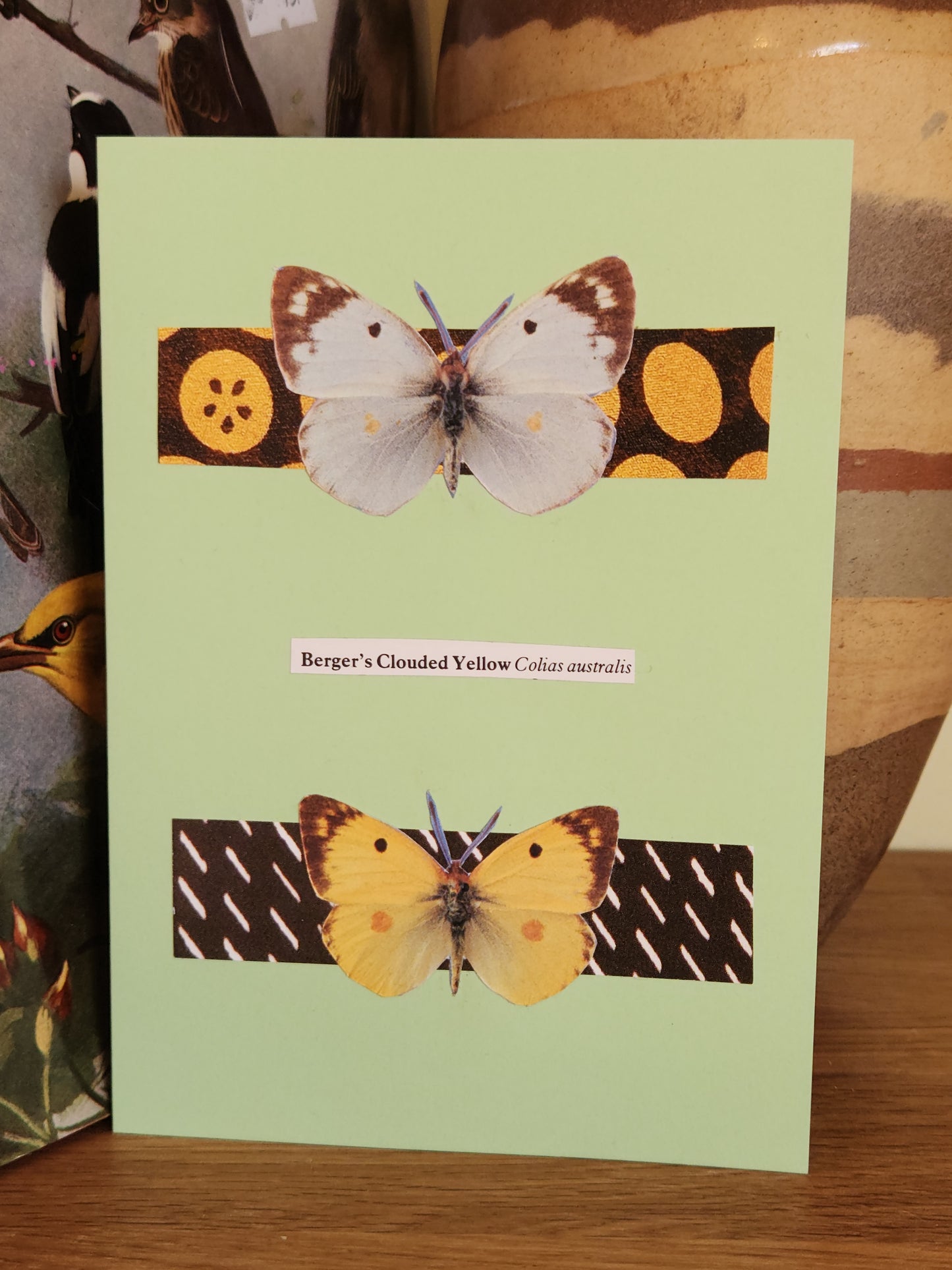 A light green greeting card featuring a collage of two butterflies and patterned strips, with a small label reading 'Berger's Clouded Yellow Colias australis', photographed on a wooden surface.